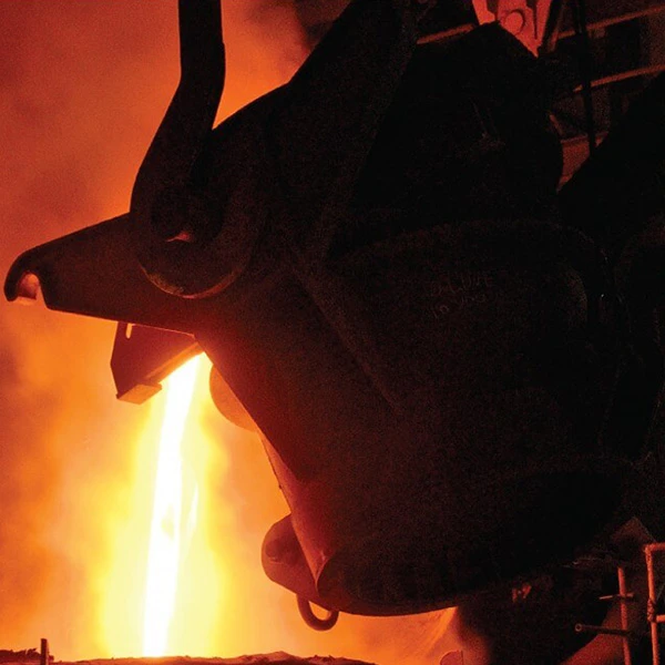 Topworth Steel & Power Pvt Ltd